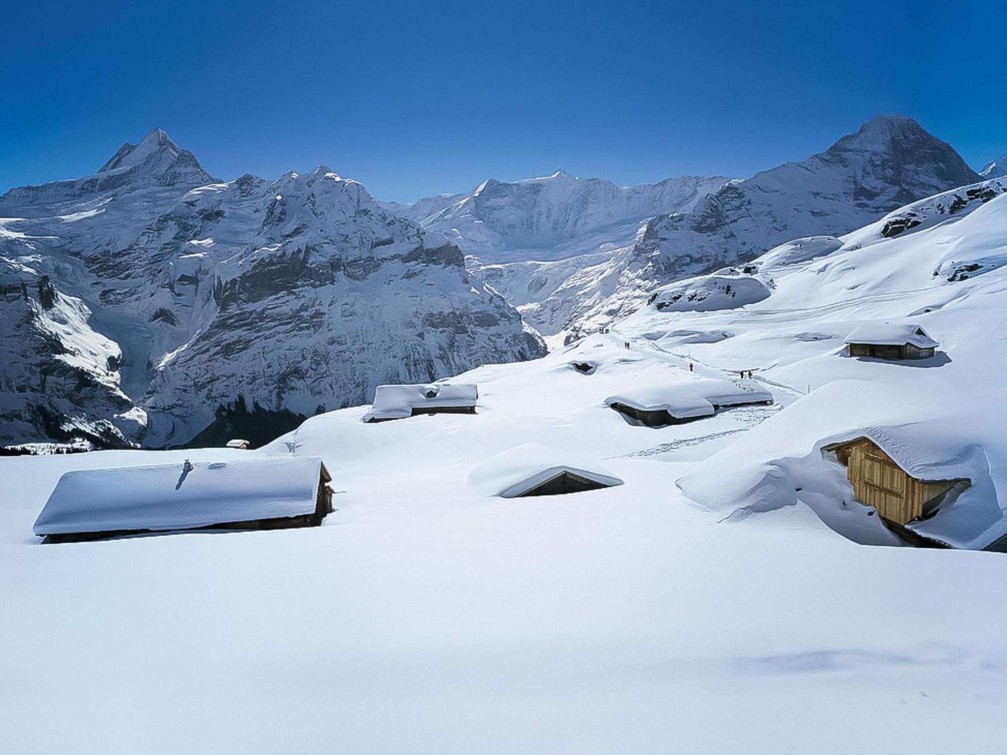 Apartment Chalet Auf Dem Vogelstein-2 By Interhome Grindelwald Bagian luar foto