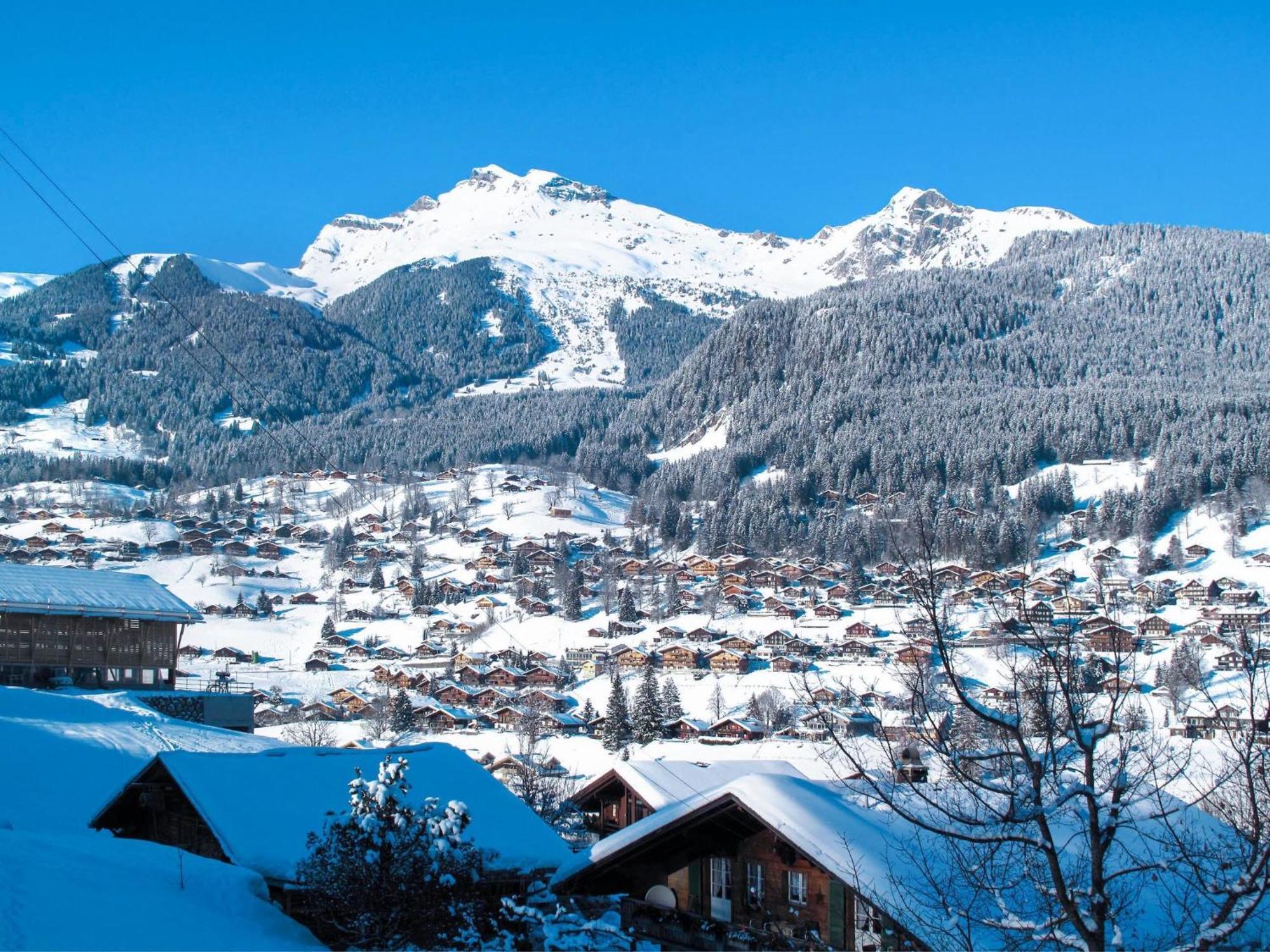 Apartment Chalet Auf Dem Vogelstein-2 By Interhome Grindelwald Bagian luar foto