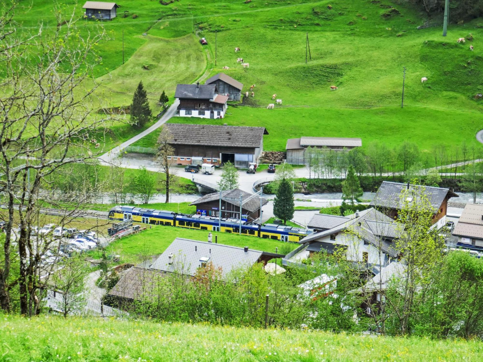 Apartment Chalet Auf Dem Vogelstein-2 By Interhome Grindelwald Bagian luar foto