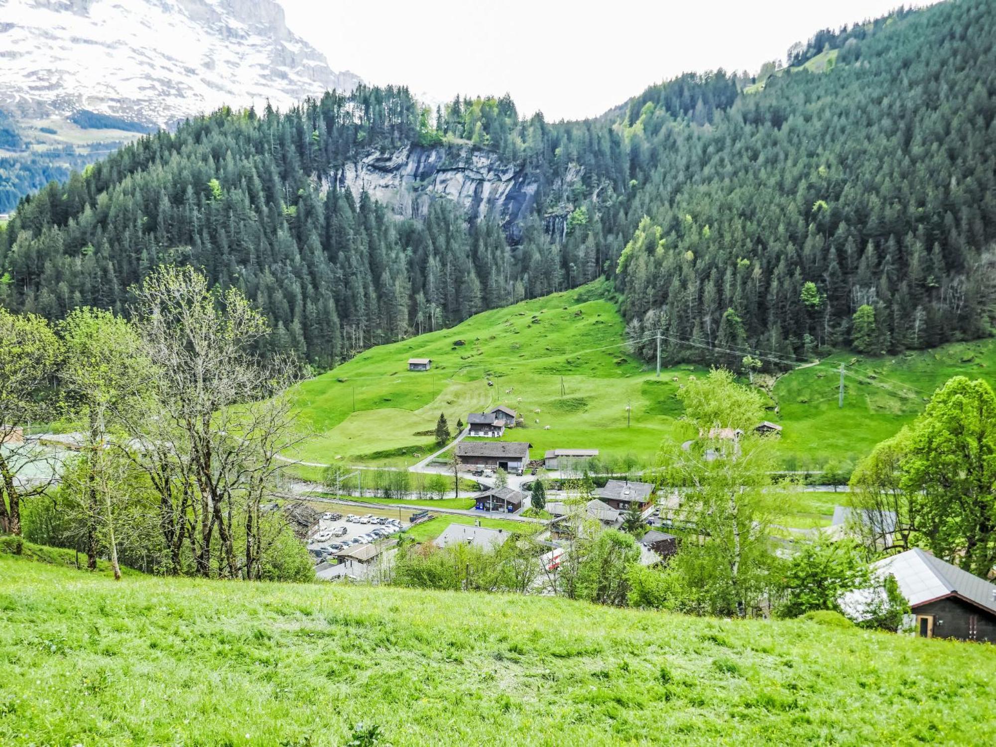 Apartment Chalet Auf Dem Vogelstein-2 By Interhome Grindelwald Bagian luar foto